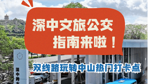 超city！深中文旅公交指南来啦~